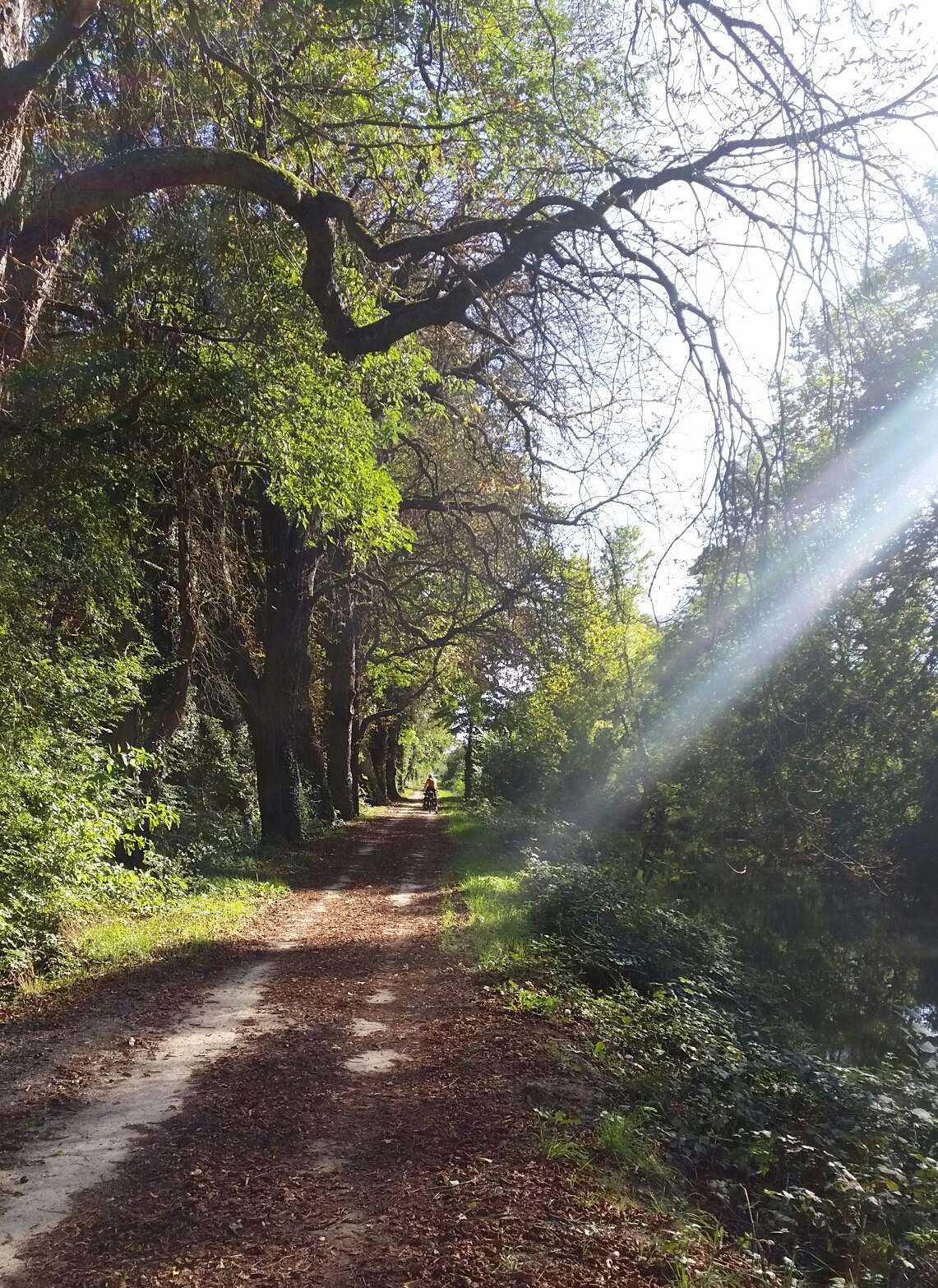 Immer noch am Rhein-Rhone-Kanal