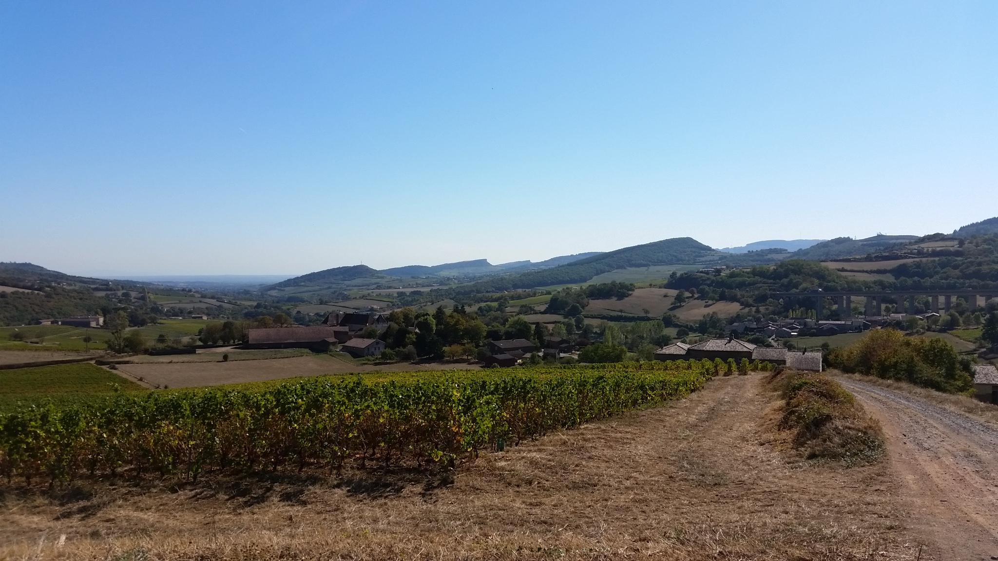 auf dem Weg nach Mâcon
