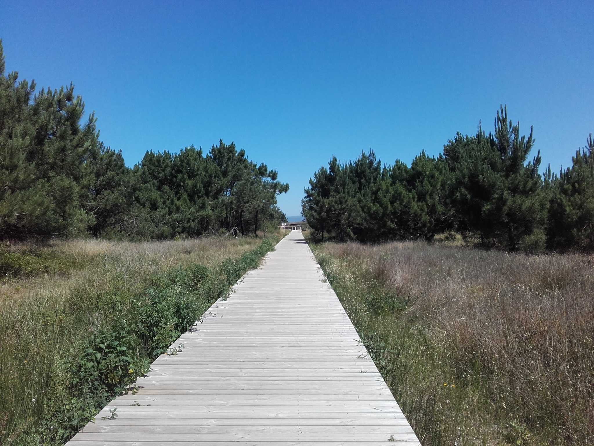 20190531_114457.jpg