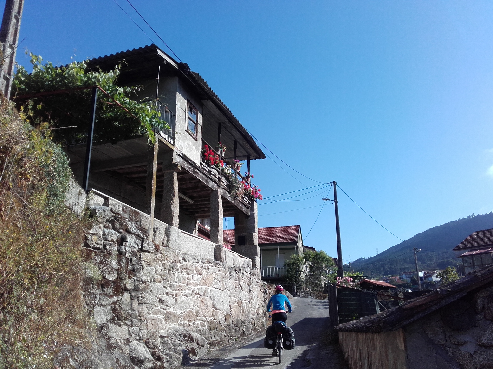 20190609_100410.jpg